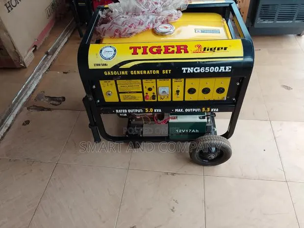 Tiger 6500ae Generator · Photo 1