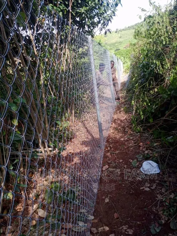40ft Chain Link Fencing · Photo 1