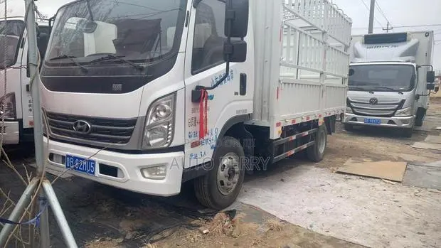 Hyundai Hongtu · Photo 1