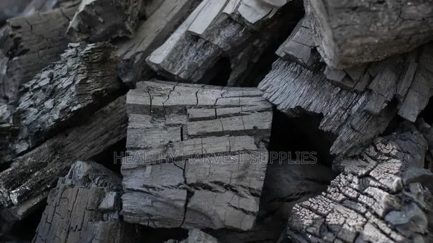Mahogany Charcoal and Coconut Charcoal Powder · Photo 1