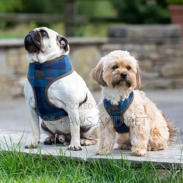 Digby Designer Pet Harness · Photo 1