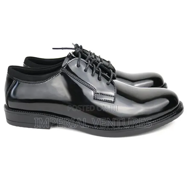 Durable Security Service Mirror Shoe · Photo 1