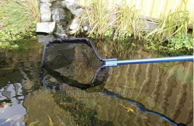 Quality Long Pond Net · Photo 2