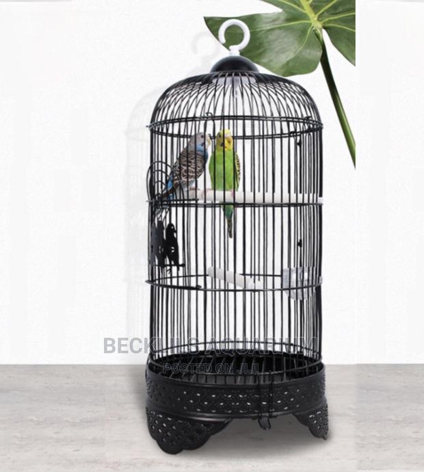 Metallic Parrot Birdcage · Photo 2