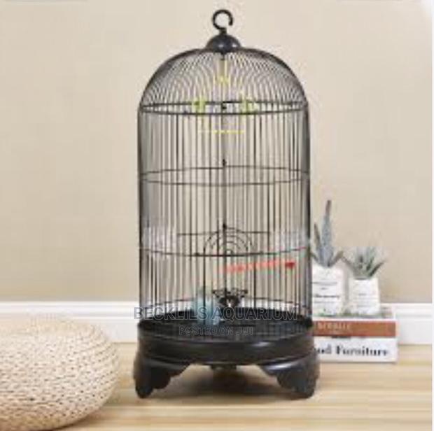 Metallic Parrot Birdcage · Photo 3