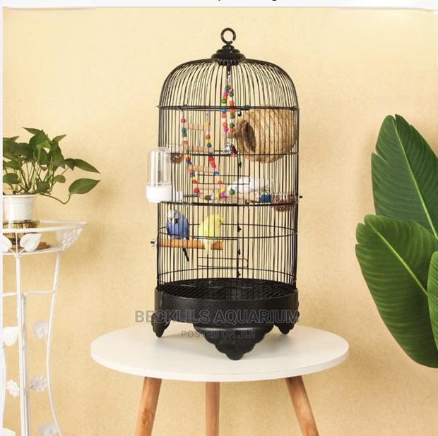 Metallic Parrot Birdcage · Photo 1