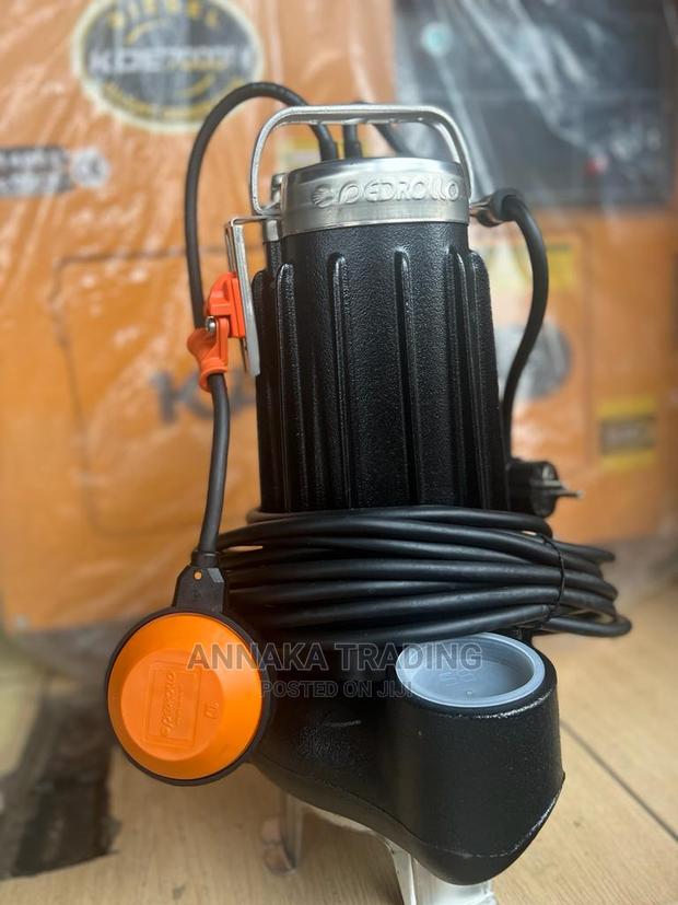 Pedrollo Sewage Pump · Photo 2