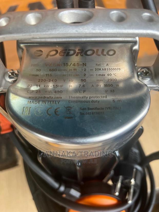 Pedrollo Sewage Pump · Photo 1