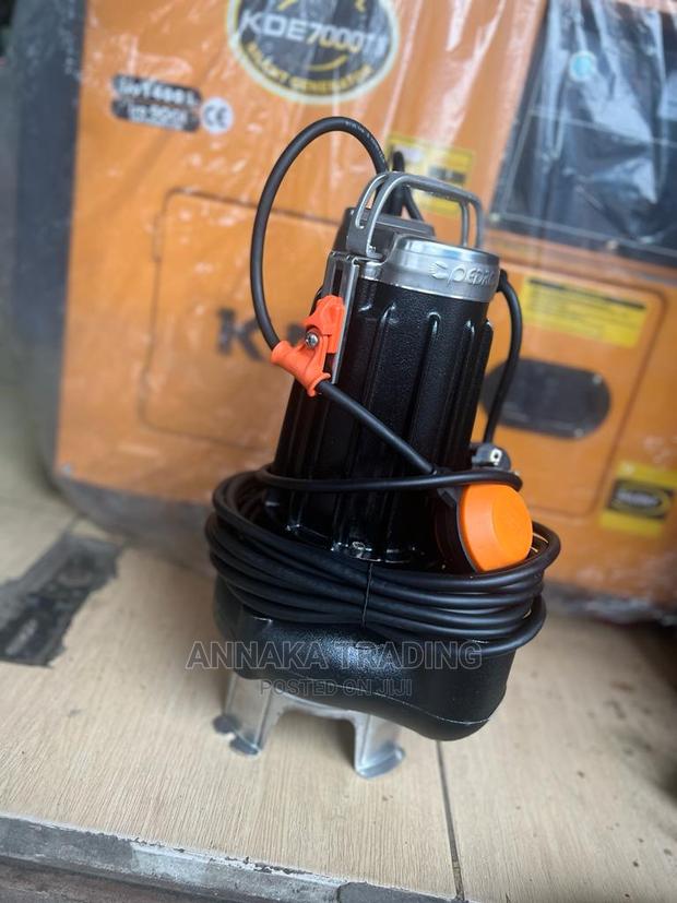 Pedrollo Sewage Pump · Photo 3