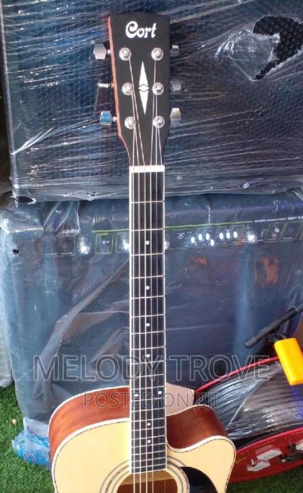 Cort Semi-Acoustic Guitar · Photo 1