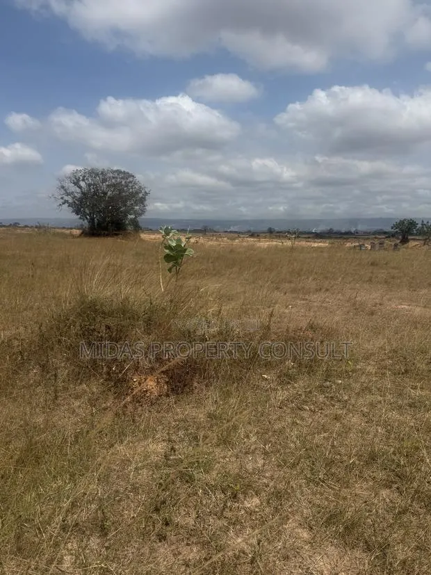4 Plots of Land for Sale at Afienya Mobole · Photo 1