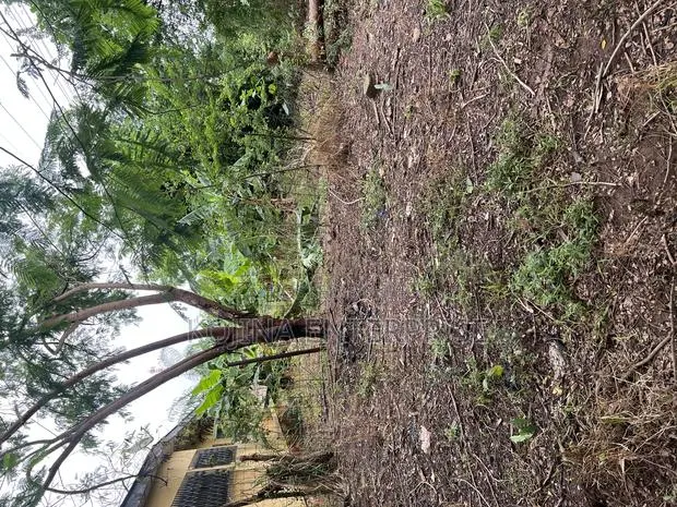 Prime Residential Land for Sale at Nhyieso (Georgia) – Exclusive · Photo 1