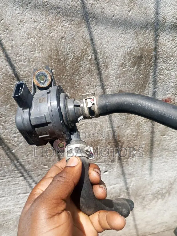 Highlander 2017 Water Pump · Photo 1