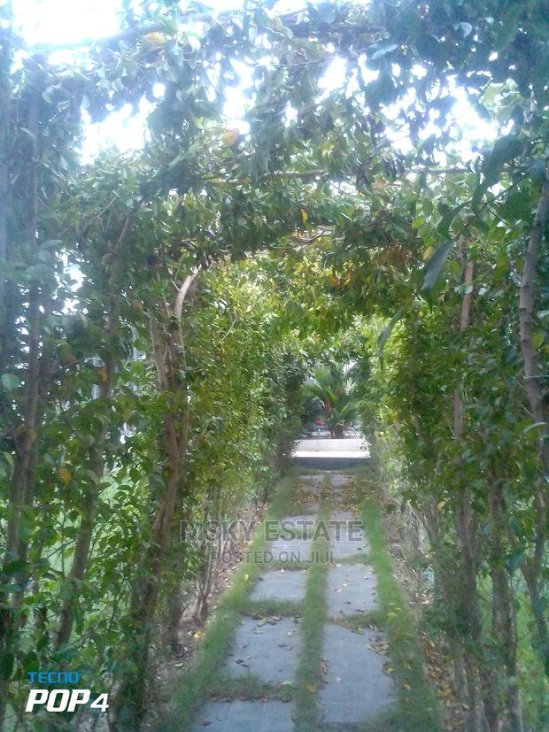 Garden Supplies · Photo 7