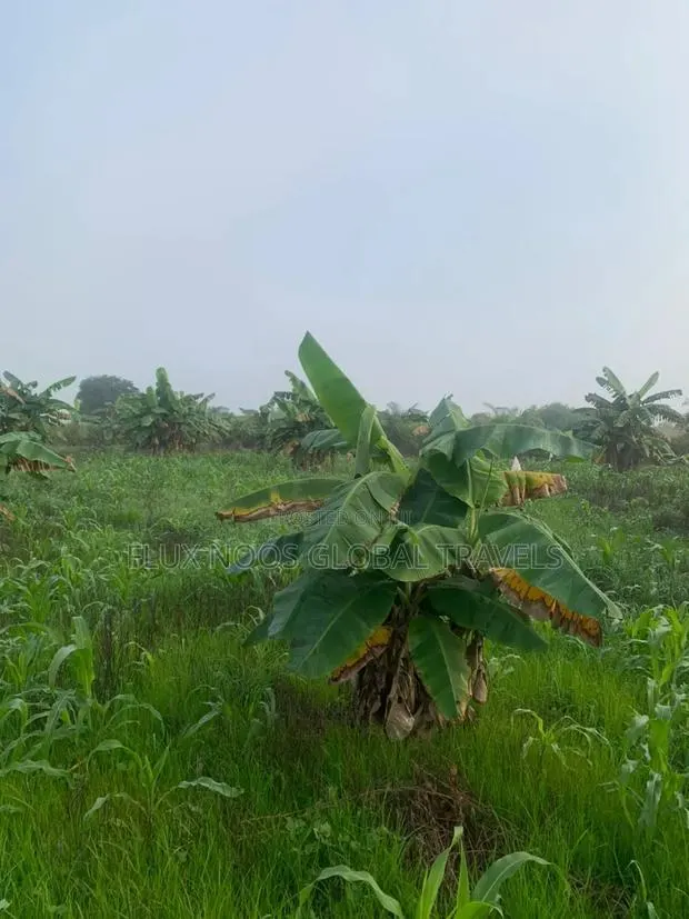 21 Plots Land for Sale. No Litigation. · Photo 1
