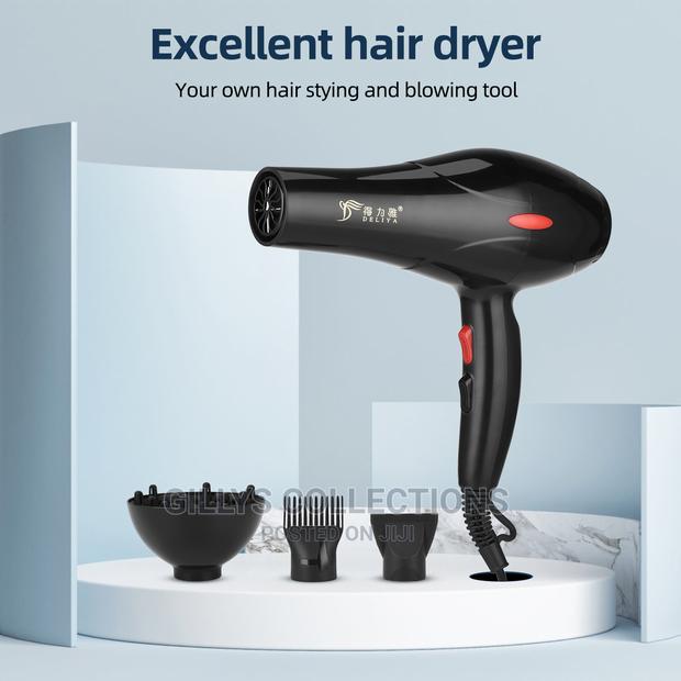 Professional Hair Dryer · Photo 1