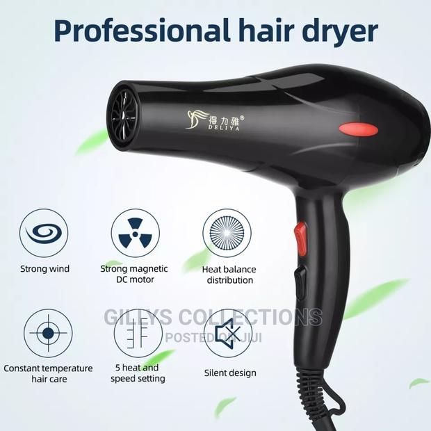 Professional Hair Dryer · Photo 2
