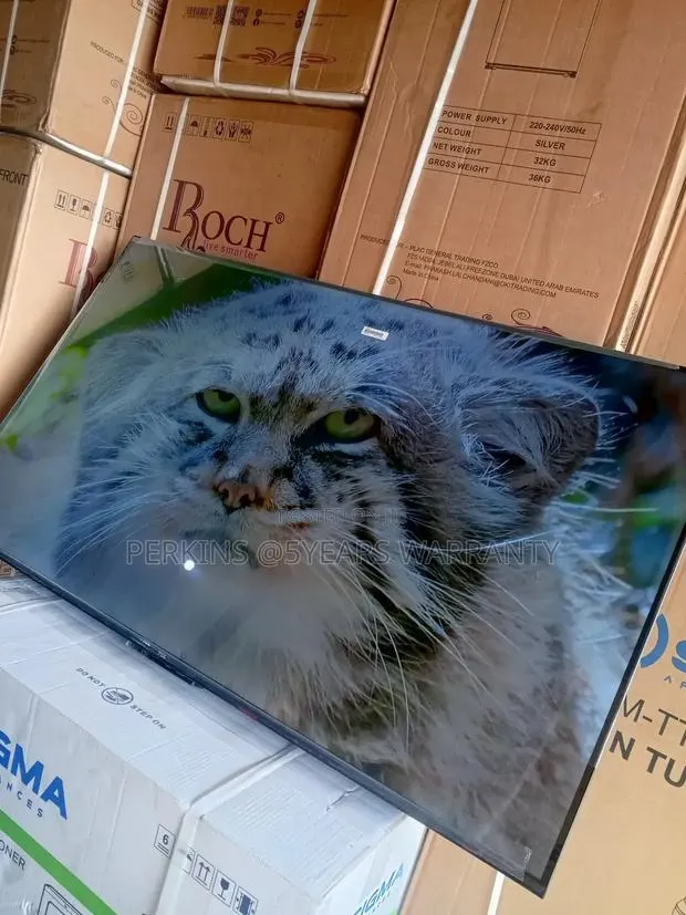 Budget-Friendly TCL 55-Inch Smart TCL Television · Photo 1