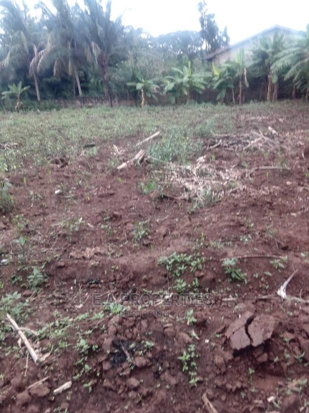 Land at Amanfro
