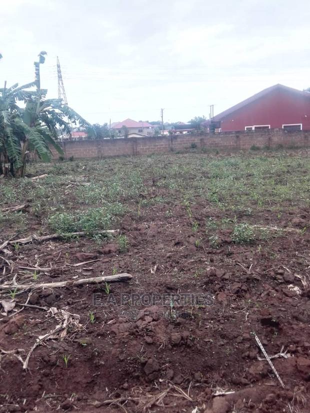 Land at Amanfro · Photo 4