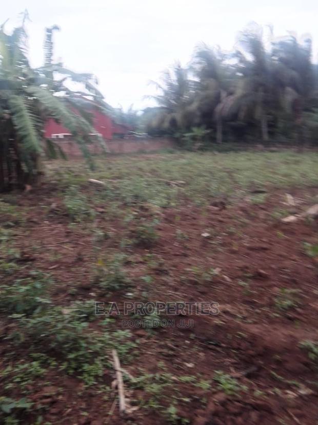 Land at Amanfro · Photo 5