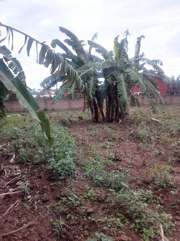 Land at Amanfro · Photo 6
