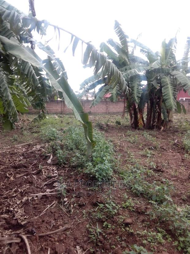Land at Amanfro · Photo 7