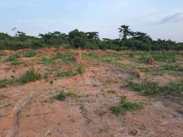 A Half Plot at Antoa-Adesina
