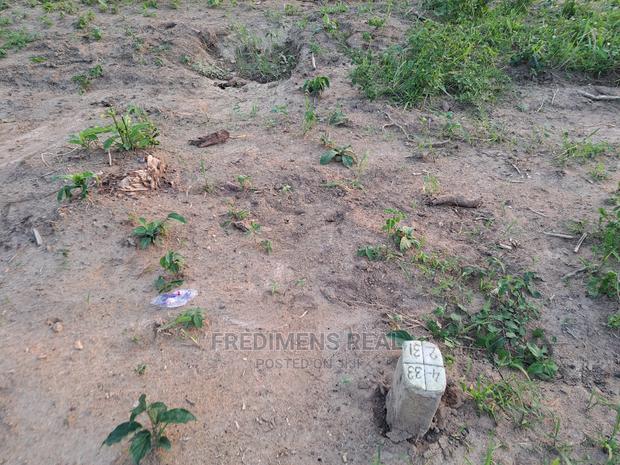 A Half Plot at Antoa-Adesina · Photo 6