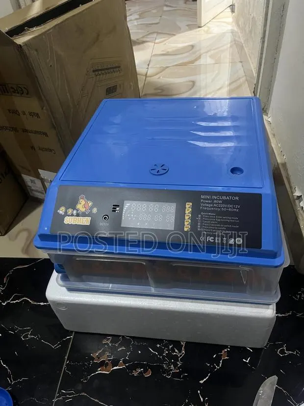 Egg Incubator · Photo 1
