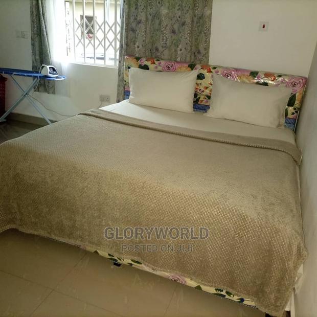 Furnished 1bdrm Apartment in Spintex for rent · Photo 8