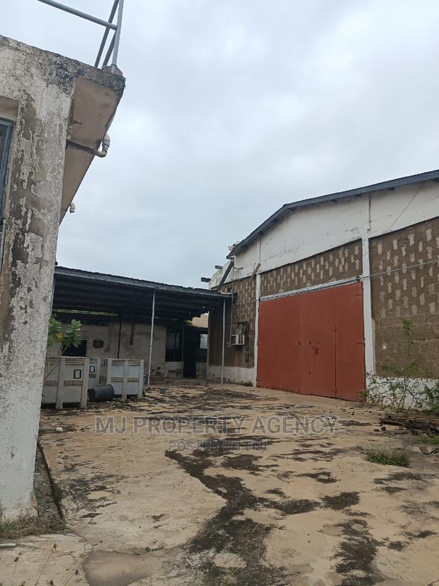 Tuna Processing Company in Tema · Photo 4