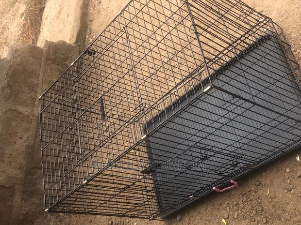 36 “Bigger Dog Cages · Photo 1