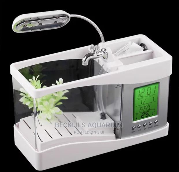 Desktop Usb Mini Fish Tank · Photo 3