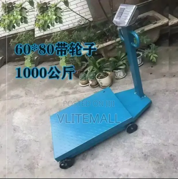 Platform Scale 1000kg · Photo 1