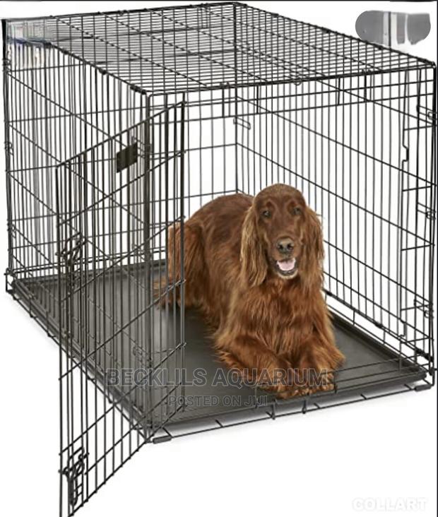 36 Inches Metallic Dog Cages · Photo 1