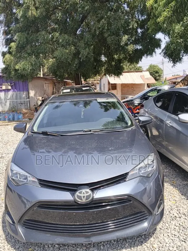 Toyota Corolla XLE (1.8L 4cyl 2A) 2019 Gray · Photo 1