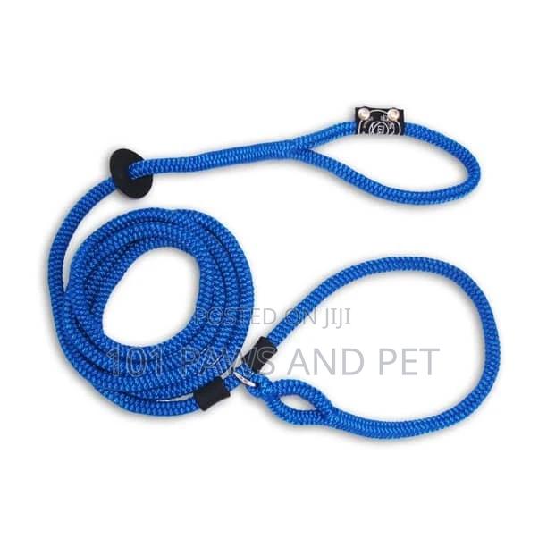 Harness Lead Leash And Collar All In One. 3 In 1. · Photo 1