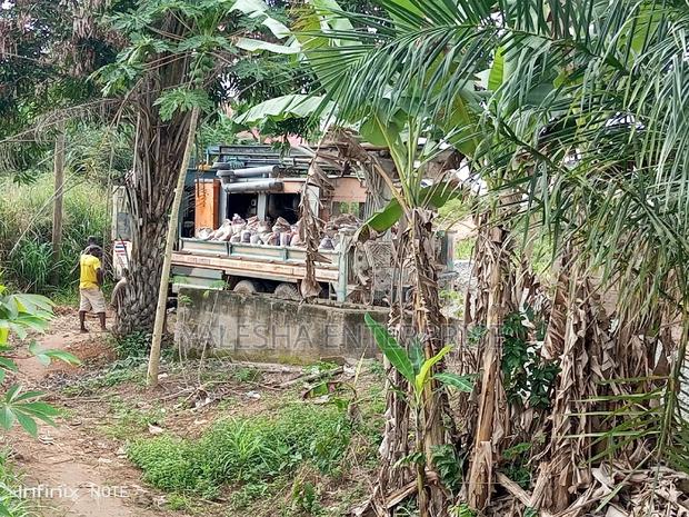 Borehole Drilling Master · Photo 4