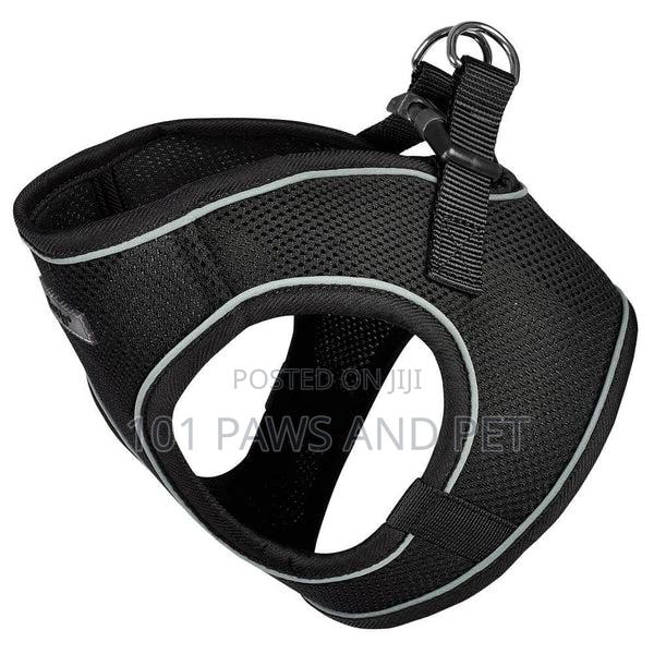 Bunty Harness for Toy Dogs · Photo 4