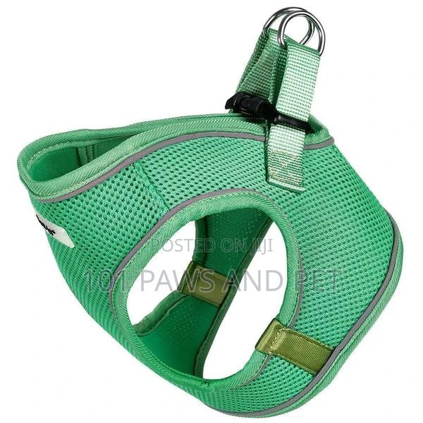 Bunty Harness for Toy Dogs · Photo 5