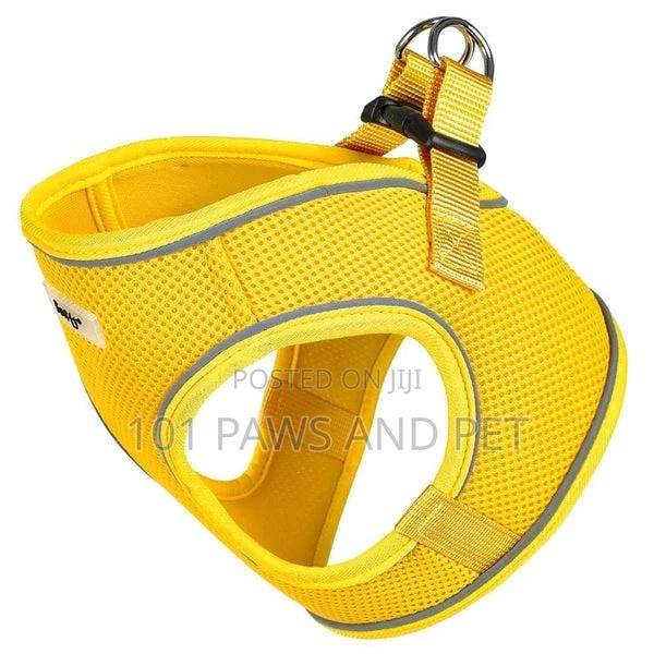 Bunty Harness for Toy Dogs · Photo 3