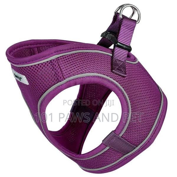 Bunty Harness for Toy Dogs · Photo 8