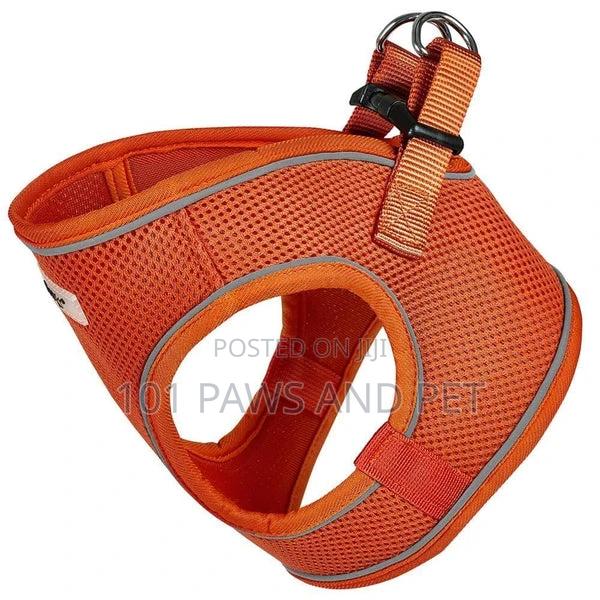 Bunty Harness for Toy Dogs · Photo 7