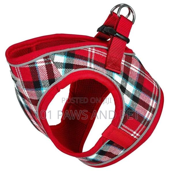 Bunty Harness for Toy Dogs · Photo 2