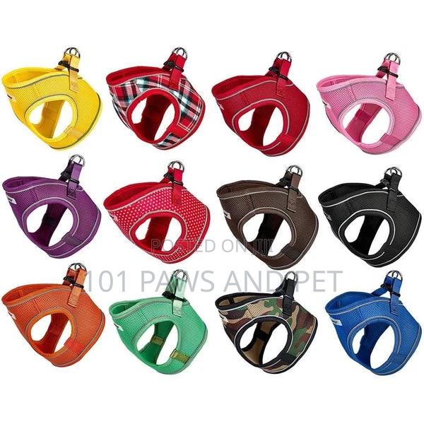 Bunty Harness for Toy Dogs · Photo 1
