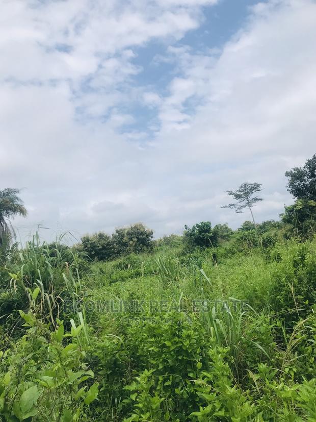 Farmland in Kintampo for Sale, Negotiable · Photo 2