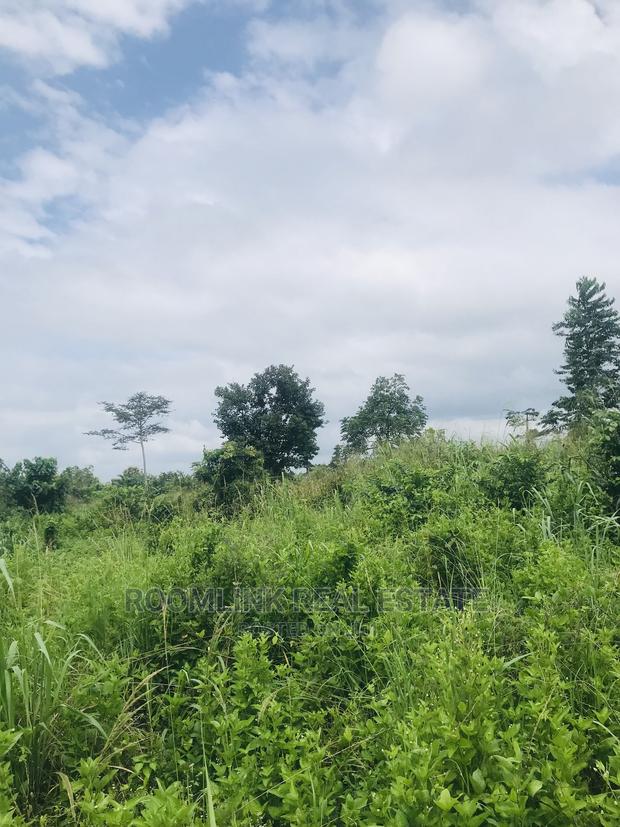 Farmland in Kintampo for Sale, Negotiable · Photo 3