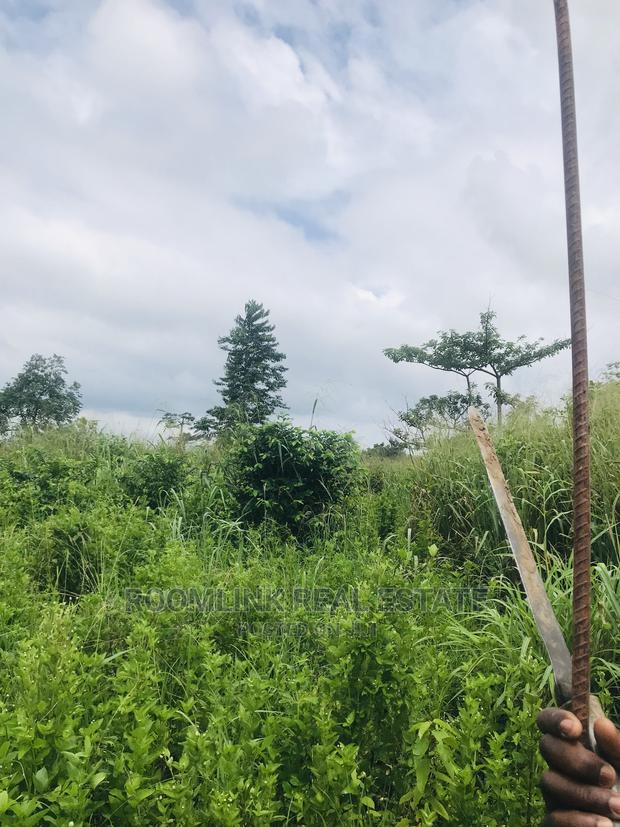 Farmland in Kintampo for Sale, Negotiable · Photo 4