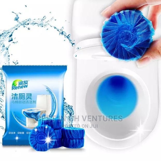 Water Closet Flush Cleaner · Photo 2